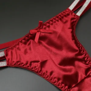 Comfy Fashion Thongs Clothing Lingerie Low Waist Nylon Panties Sexy Silky Slight Strech Solid Color All Seasons