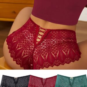 3pcs Comfortable Breathable Women's Sexy Lace Seamless Underwear for Christmas Gifts to Wife Girlfriend Valentine’s Day