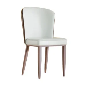 Modern Dining Chair with Carbon Steel Legs Comfortable Seating for Home Office Environments Ideal for Contemporary Interiors and Daily Use Set of 2, Easy to Assemble, Dining Table Chairs, Chairs for Living Room, Kitchen Table And Chairs Set
