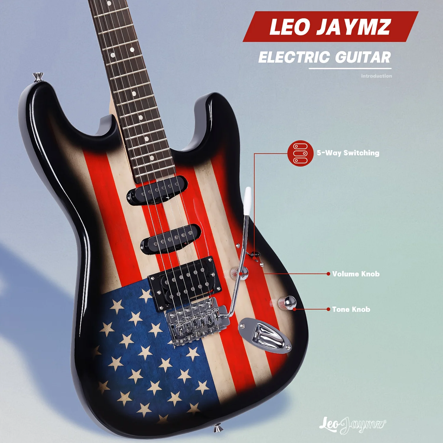 Leo Jaymz 39 Inch Full Size Electric Guitar Kit Electric Guitar Beginner Kits -…